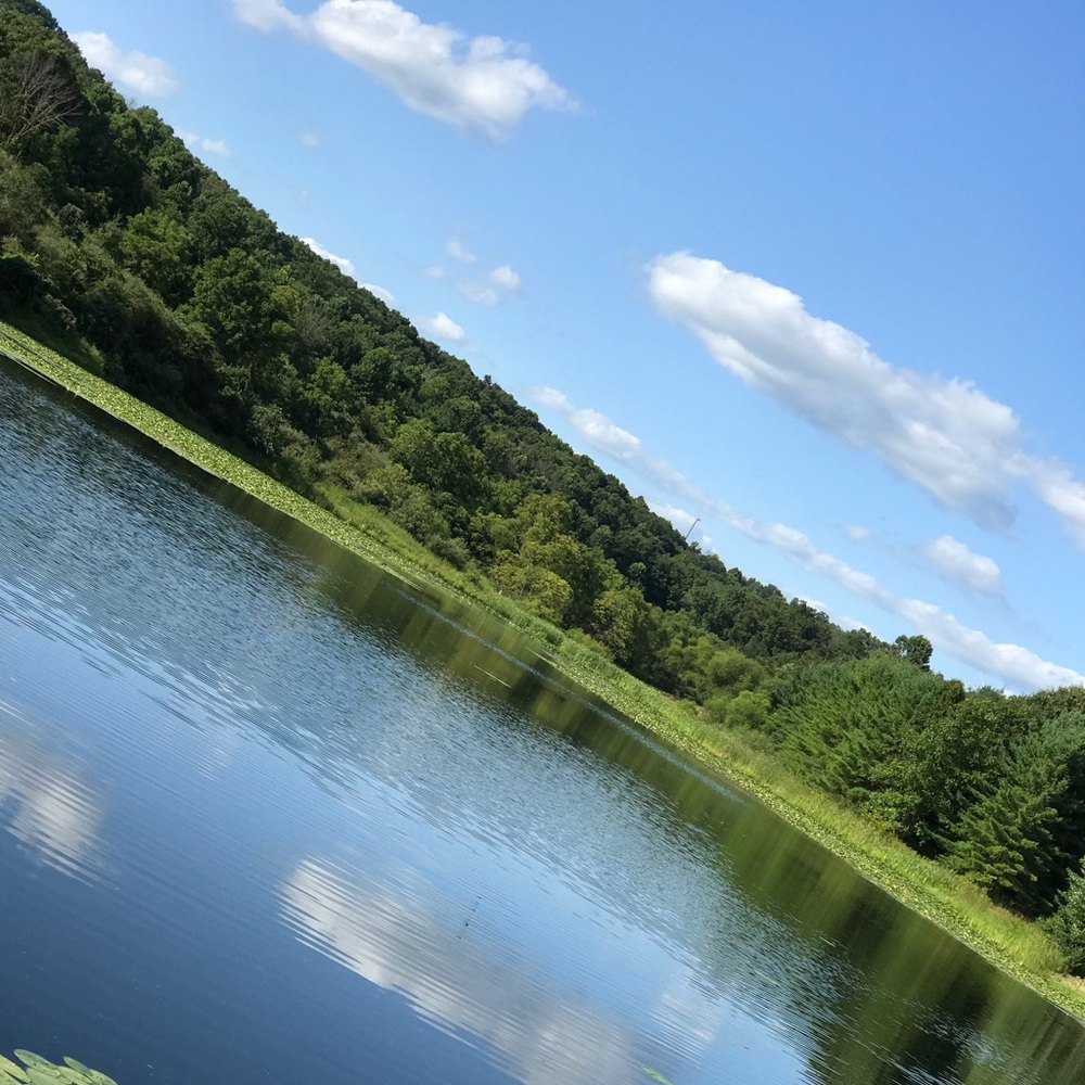 Meet your Posher, Deana